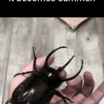 Title⁸⁸ | Typa bugs you see the MICROSECOND it becomes summer: | image tagged in gifs,funny,meme,memes,funny meme,relatable | made w/ Imgflip video-to-gif maker
