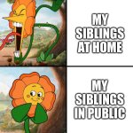 True story | My siblings at home; My siblings in public | image tagged in angry flower | made w/ Imgflip meme maker