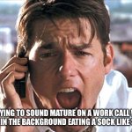 Show Me The Money | ME TRYING TO SOUND MATURE ON A WORK CALL WHILE MY DOG IS IN THE BACKGROUND EATING A SOCK LIKE SPAGHETTI | image tagged in show me the money | made w/ Imgflip meme maker