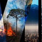 Ecocide template