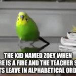 Don't forget Zhen! | The kid named Zoey when there is a fire and the teacher says "lets leave in alphabetical order" | image tagged in gifs,gif | made w/ Imgflip video-to-gif maker
