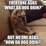 Y'all made the dog sad :( | Everyone asks "What da dog doin?"; But no one asks "How da dog doin?" | image tagged in bulldogsad,what da dog doin,how da dog doin,memes | made w/ Imgflip meme maker