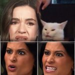 Catturd, What is that Lady and Kristen Welkerr