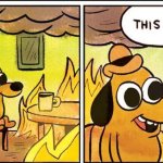 Doguinho This is fine