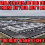 Ain't Nobody Want To See That | Data Centers are like the Chin Hairs on your aun't Bertha; Ain't nobody want to see that | image tagged in data center | made w/ Imgflip meme maker