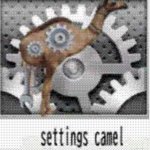 Settings camel