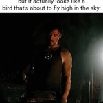 Birb croissant | The pastry chef making a croissant but it actually looks like a bird that's about to fly high in the sky: | image tagged in gifs,bird,croissant,memes,pastry,blank white template | made w/ Imgflip video-to-gif maker
