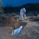 Burying a body template