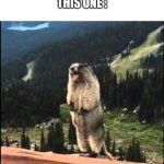 Screaming beaver | "You cannot hear pictures."
This one : | image tagged in screaming beaver | made w/ Imgflip meme maker