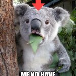 go to school kola's! | me no smart; me no have koalafications | image tagged in memes,surprised koala,school | made w/ Imgflip meme maker