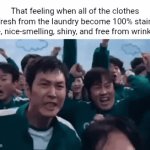 Clothes fresh from the laundry | That feeling when all of the clothes fresh from the laundry become 100% stain free, nice-smelling, shiny, and free from wrinkles: | image tagged in gifs,clothes,laundry,memes,clothing,blank white template | made w/ Imgflip video-to-gif maker