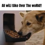 dog meme