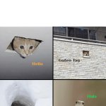 Animals greeting in different languages