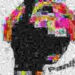 P      A         N       I       K meme