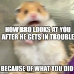 AHAHAHA | how bro looks at you after he gets in trouble; because of what you did | image tagged in scared hamster with cross | made w/ Imgflip meme maker
