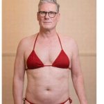 Starmer Bikini