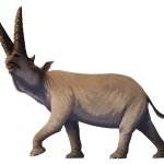Arsinoitherium