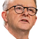 Albo head