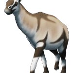 Macrauchenia