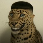 Smiling Leapord