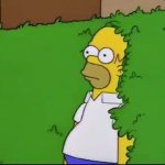 HOMER SINKING GIF Template