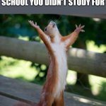 Violist's Title² | when you ace a test in school you didn't study for | image tagged in finally,violist,school,test,grades | made w/ Imgflip meme maker