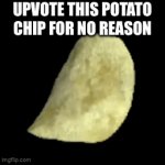 I know you guys will upvote anything | Upvote this potato chip for no reason | image tagged in gifs,potato chip | made w/ Imgflip video-to-gif maker