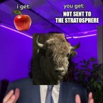 Bison are genuinly more dangerous than some actual predators | not sent to the stratosphere | image tagged in i get you get hq hd | made w/ Imgflip meme maker