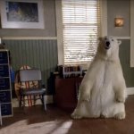 Psych Bear