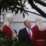 Trump with Nordics meme