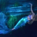 Swimming Around