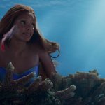 UnderSea Life