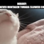 who knows that one song here... | nobody:
me whenever Montagem Tomada (slowed) comes up: | image tagged in gifs,song,nothing | made w/ Imgflip video-to-gif maker
