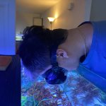 Fish tank