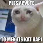 VOTEBEGGERS BE LIKE | PLES APVOTE; TO MEK TIS KAT HAPI | image tagged in crying cat | made w/ Imgflip meme maker