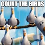 Counting | Count the birds | image tagged in nemo birds | made w/ Imgflip meme maker