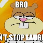 Where’s the funny, man? | Bro; I can’t stop laughing | image tagged in sandy cheeks is not impressed,sandy cheeks,spongebob,not impressed,memes,spongebob squarepants | made w/ Imgflip meme maker