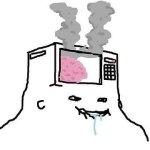 Microwave Brain Face