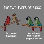 2 types of birds