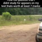 Title¹⁰⁰ | How the question that I didnt study for appears on my test thats worth at least 7 marks: | image tagged in gifs,funny,meme,memes,funny meme,relatable | made w/ Imgflip video-to-gif maker