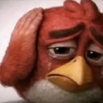 Angry Bird Covering Ears meme