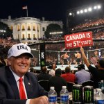 UFC 250