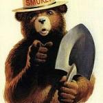 Smokey The Bear Says meme