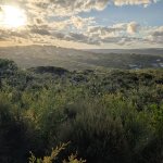 Wide open landscape