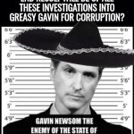 Greasy Gavin mugshot meme