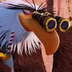 bird observing