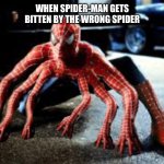 When Spider-Man gets bitten by the wrong spider | When Spider-Man gets bitten by the wrong spider | image tagged in spider-man with 8 limbs | made w/ Imgflip meme maker