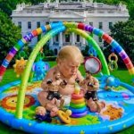 Trump's UFC cage fight, Making America Goo-goo gah-gah Again.