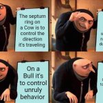 Septum theory | The septum ring on a Cow is to control the direction it's traveling; on a Pig, it stops them from sticking their nose where it doesn't belong; On the Human, it's Contradictory to all objectives altogether; On a Bull it's to control unruly behavior | image tagged in memes,gru's plan | made w/ Imgflip meme maker
