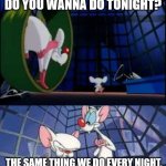 Me every night searching a good film... | find a film on netflix | image tagged in pinky and the brain what do you wanna do tonight | made w/ Imgflip meme maker